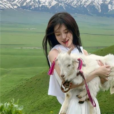 不得不爱第二季海报